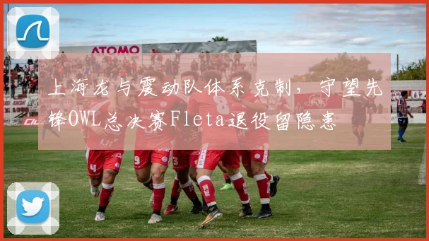 上海龙与震动队体系克制，守望先锋OWL总决赛Fleta退役留隐患