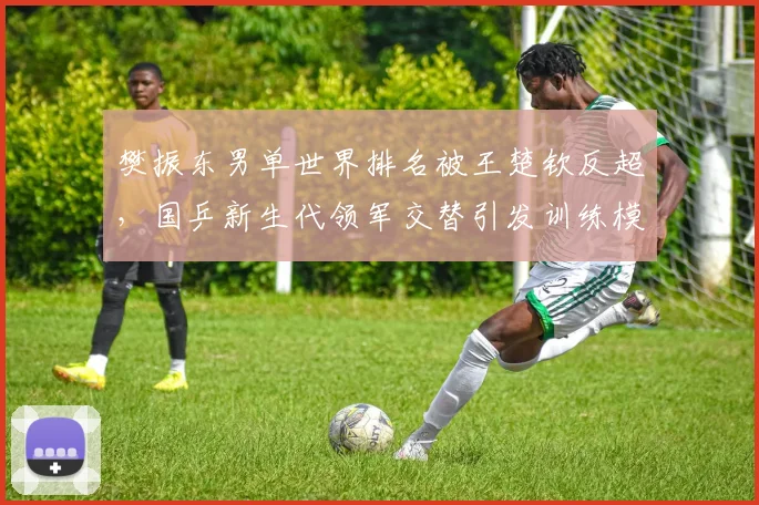 樊振东男单世界排名被王楚钦反超，国乒新生代领军交替引发训练模式争议