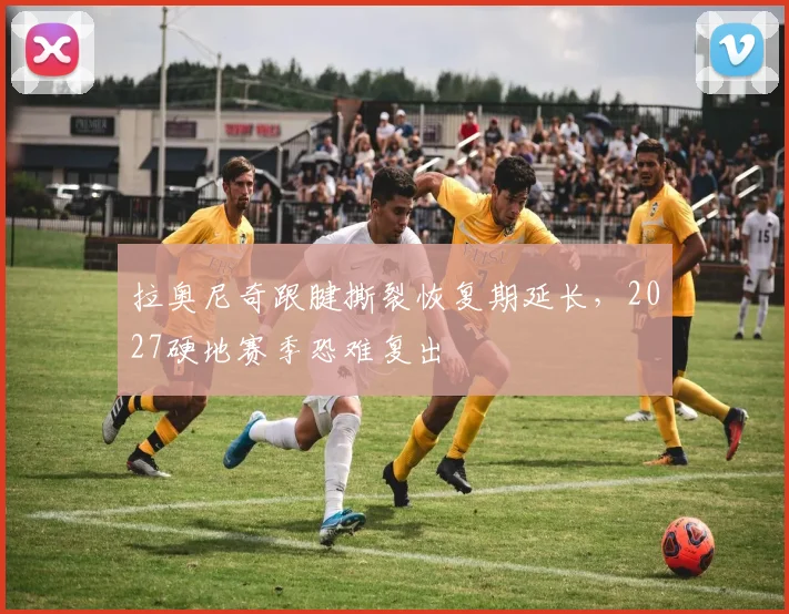 拉奥尼奇跟腱撕裂恢复期延长，2027硬地赛季恐难复出